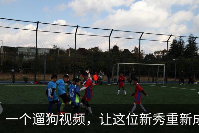 一个遛狗视频，让这位新秀重新成为热火球迷心中的“宝